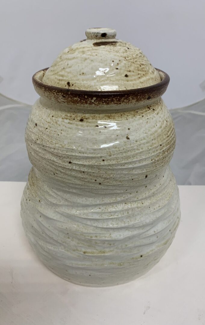 Handcrafted ceramic jar with a lid, featuring a textured, speckled white glaze.