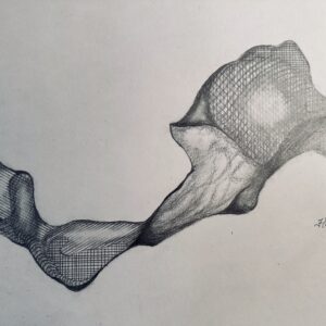 Abstract, flowing mesh structure with organic shapes in pencil.