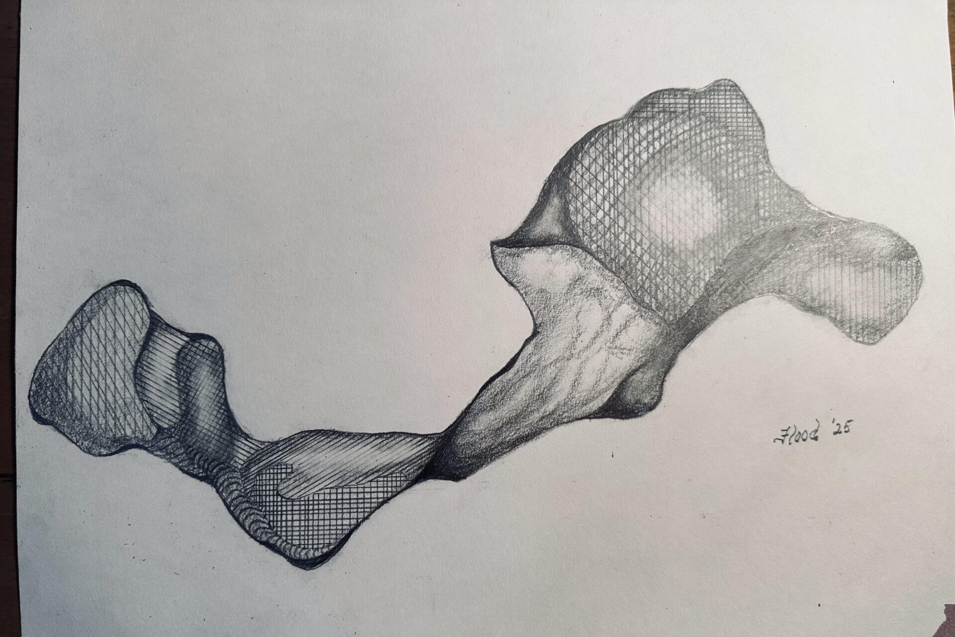 Abstract, flowing mesh structure with organic shapes in pencil.
